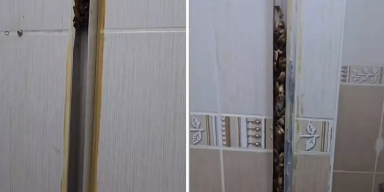 Kiracılar Evi Bu Hale Getirdi: Ev Sahibi Gözyaşlarına Boğuldu