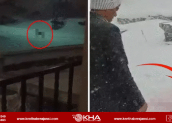 Aç Kalan Kurtlar Köye İndi, Köpekleri Telef Etti