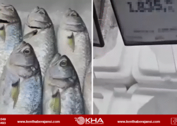 Samsun’da Lüfer Fiyatı Şaşkınlığı: Kampanyalı Etiket 1.835 TL