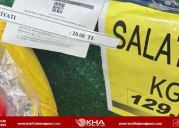 Salatalıkta Raf Fiyatı Tartışması: Üreticiden Markete 5,5 Kat Zam