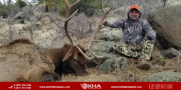 Afrika’da Safari Faciası: Amerikalı Milyoner Avcı Fil Saldırısında Hayatını Kaybetti