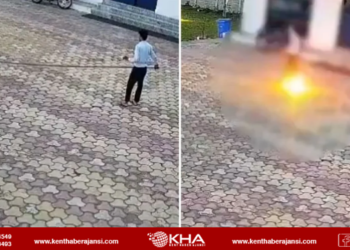 Maymunu Kovmak İsterken Canından Oldu: Elektrik Hattına Temas Eden Demir Boru Felaketi Getirdi