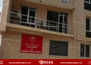 Dereli İlçe Tarım Müdürlüğü’nde 600 Milyonluk Yolsuzluk İddiası: MASAK İncelemesi Başlatıldı