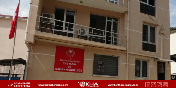 Dereli İlçe Tarım Müdürlüğü’nde 600 Milyonluk Yolsuzluk İddiası: MASAK İncelemesi Başlatıldı