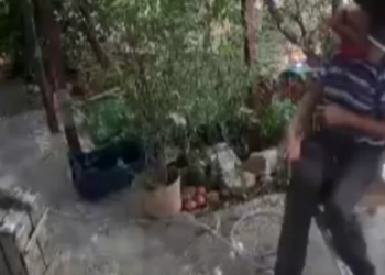Mersin’de Yaşlı Adama Kasklı Canilik: Boynunu Kırmaya Çalışıp Başını Ezdi! 380 Saatlik Kamera İncelemesiyle Yakalandı
